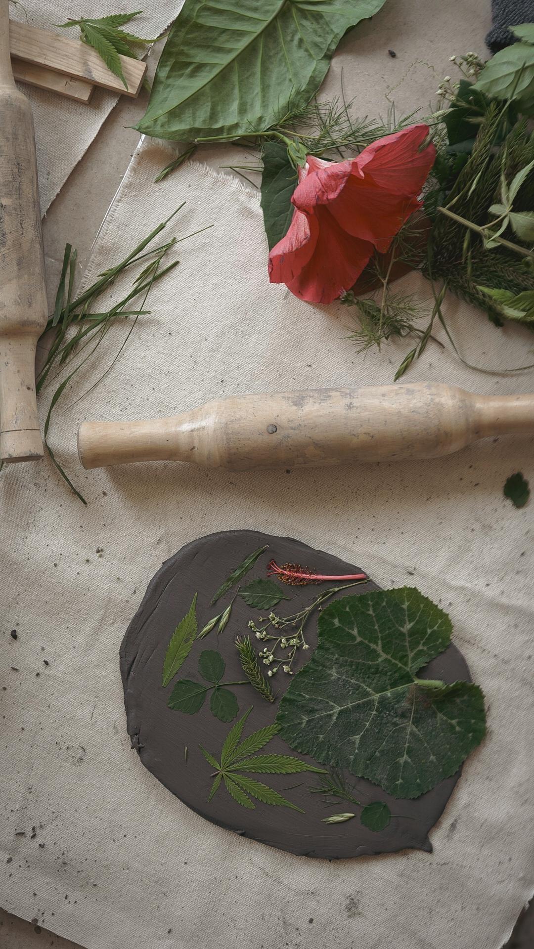 Botanical leaves and flowers arranged on clay slab for leaf imprinting